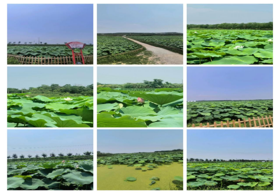 正在上传... f5030f07ea33df9ecce954850a87d3ba.png