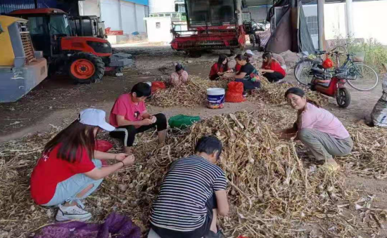 正在上传...